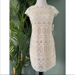 Eliza J White Lace Dress